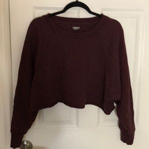 Aerie Cropped Sweatshirt